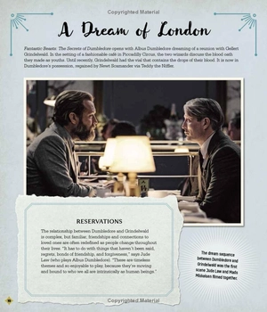 fantastic beasts - the secrets of dumbledore: movie magic - Ảnh 10