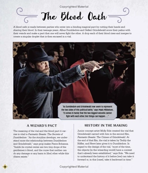 fantastic beasts - the secrets of dumbledore: movie magic - Ảnh 12