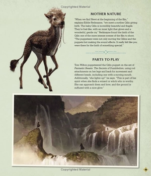 fantastic beasts - the secrets of dumbledore: movie magic - Ảnh 19