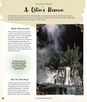 fantastic beasts - the secrets of dumbledore: movie magic - Ảnh 20