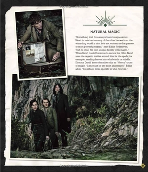 fantastic beasts - the secrets of dumbledore: movie magic - Ảnh 21