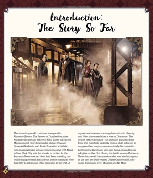 fantastic beasts - the secrets of dumbledore: movie magic - Ảnh 6
