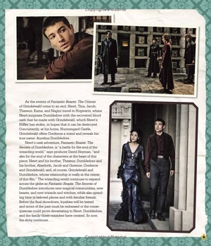 fantastic beasts - the secrets of dumbledore: movie magic - Ảnh 9