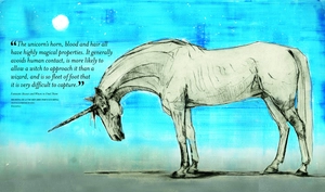 fantastic beasts: the wonder of nature - amazing animals and the magical creatures of harry potter and fantastic beasts - Ảnh 10