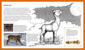 fantastic beasts: the wonder of nature - amazing animals and the magical creatures of harry potter and fantastic beasts - Ảnh 4