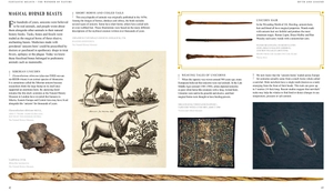 fantastic beasts: the wonder of nature - amazing animals and the magical creatures of harry potter and fantastic beasts - Ảnh 5