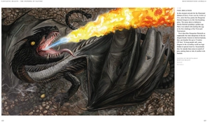 fantastic beasts: the wonder of nature - amazing animals and the magical creatures of harry potter and fantastic beasts - Ảnh 7