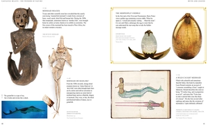 fantastic beasts: the wonder of nature - amazing animals and the magical creatures of harry potter and fantastic beasts - Ảnh 8