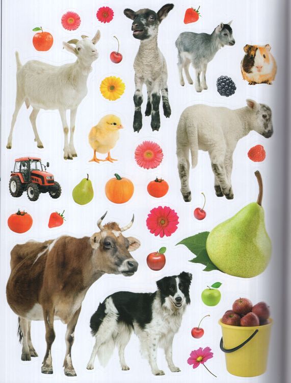 Farm Sticker Activities - Ảnh 3