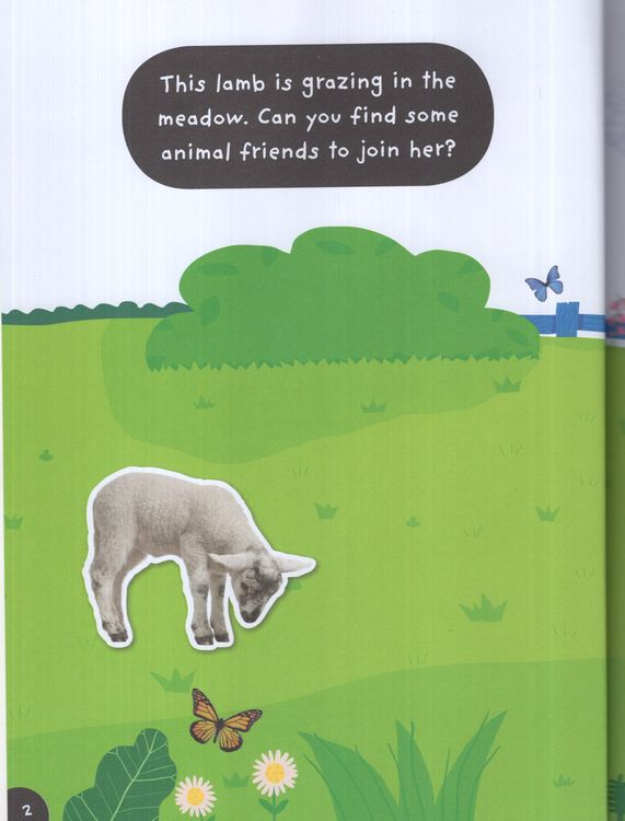 Farm Sticker Activities - Ảnh 4