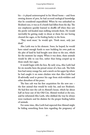 father of lions - Ảnh 11