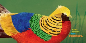 feathers and hair, what animals wear - Ảnh 3