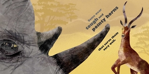 feathers and hair, what animals wear - Ảnh 4