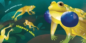 feathers and hair, what animals wear - Ảnh 5