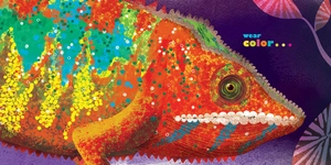 feathers and hair, what animals wear - Ảnh 6