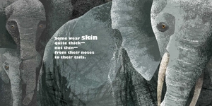 feathers and hair, what animals wear - Ảnh 7