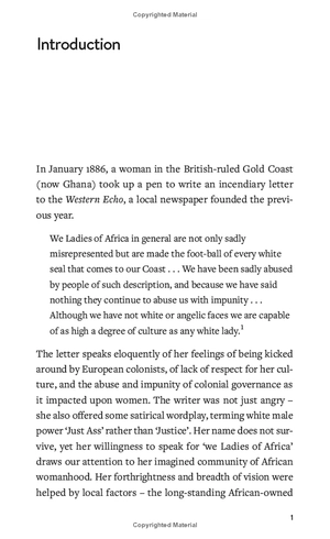 feminisms: a global history - Ảnh 6