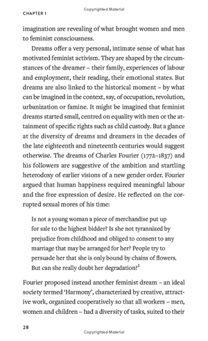 feminisms: a global history - Ảnh 9