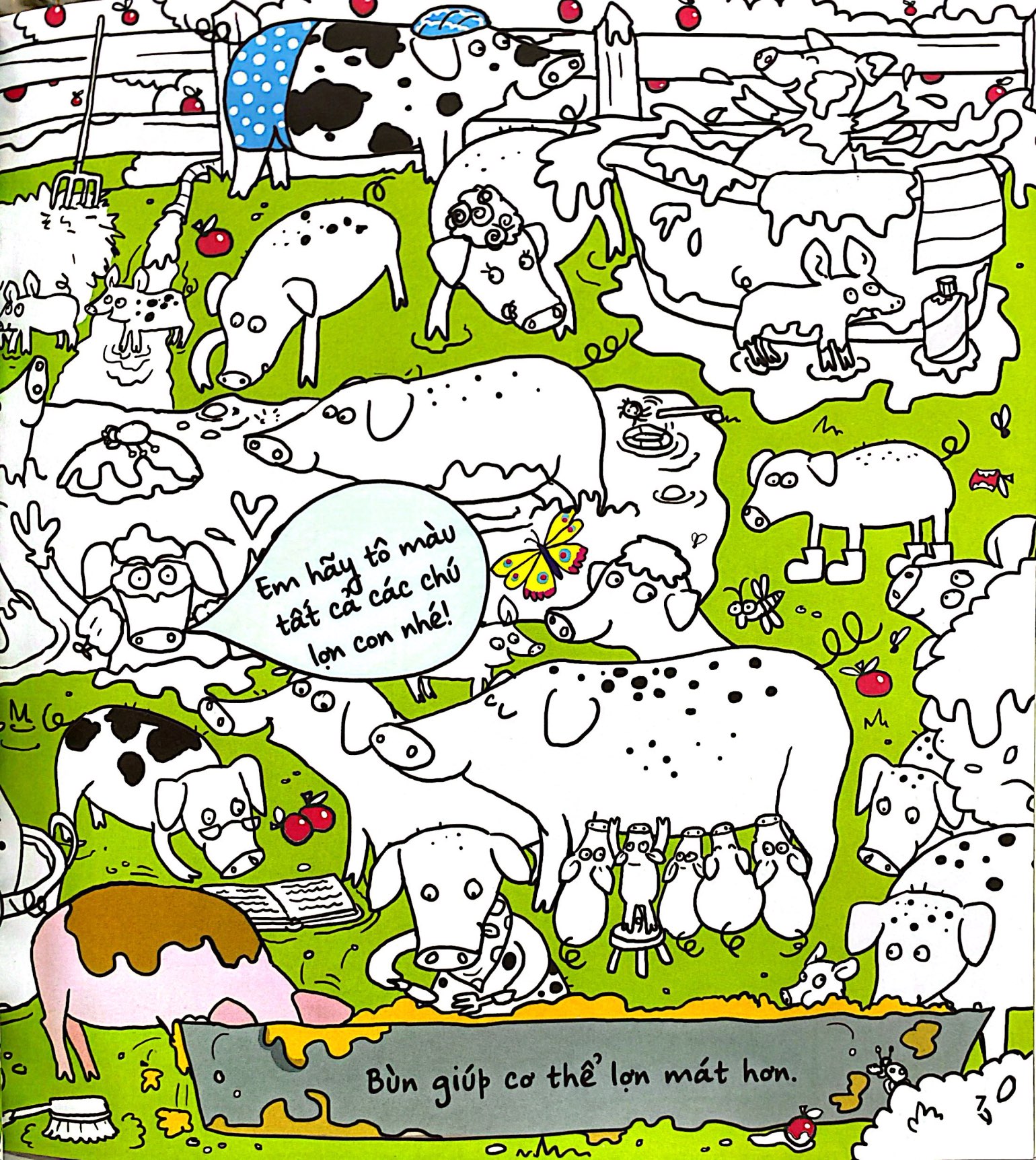 Find And Colour - Farm - Ảnh 5