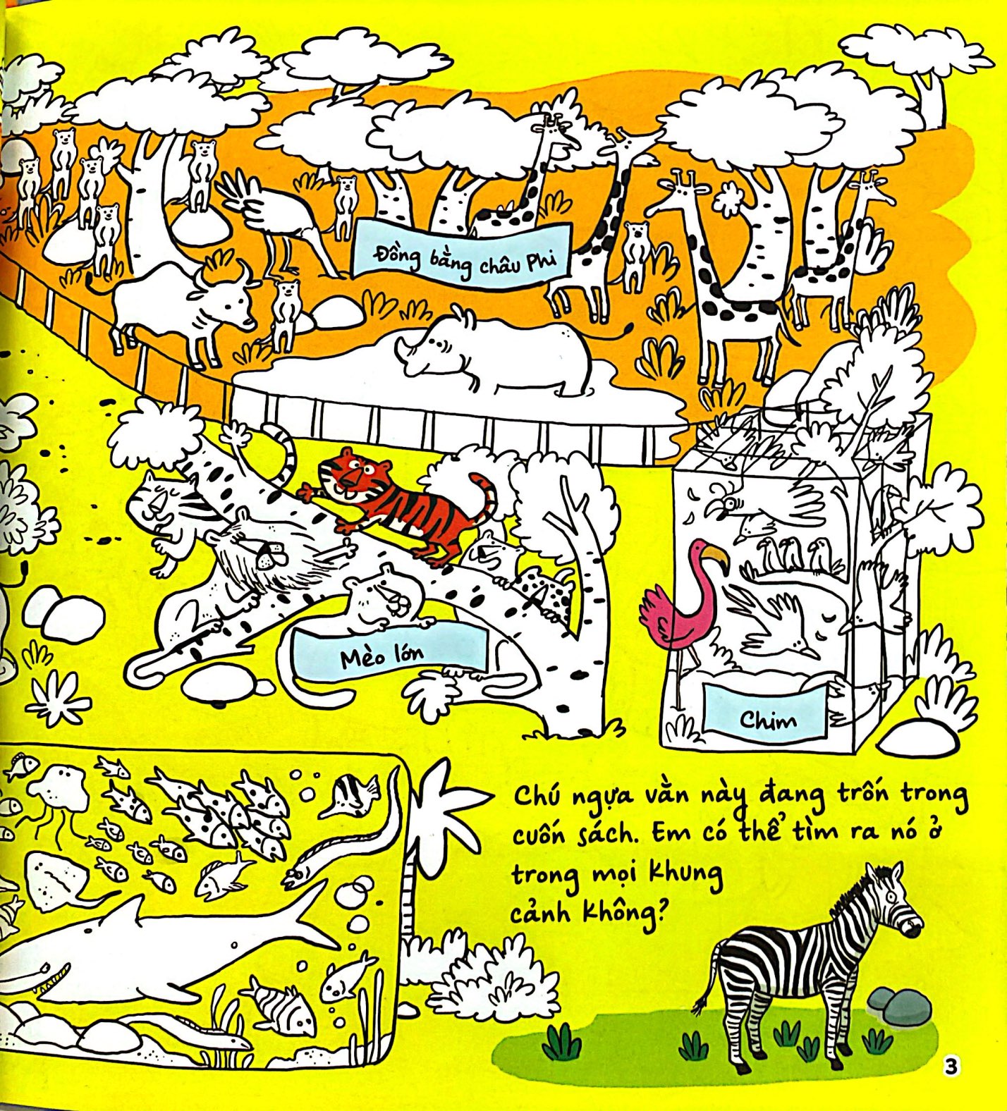 Find And Colour - Zoo - Ảnh 3