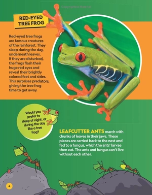 find it! explore it! animals - Ảnh 6