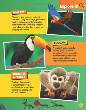 find it! explore it! animals - Ảnh 7