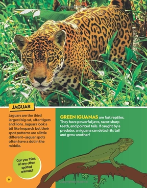 find it! explore it! animals - Ảnh 8