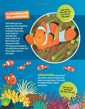 find it! explore it! ocean - Ảnh 6