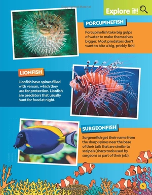 find it! explore it! ocean - Ảnh 7