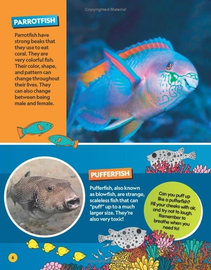 find it! explore it! ocean - Ảnh 8