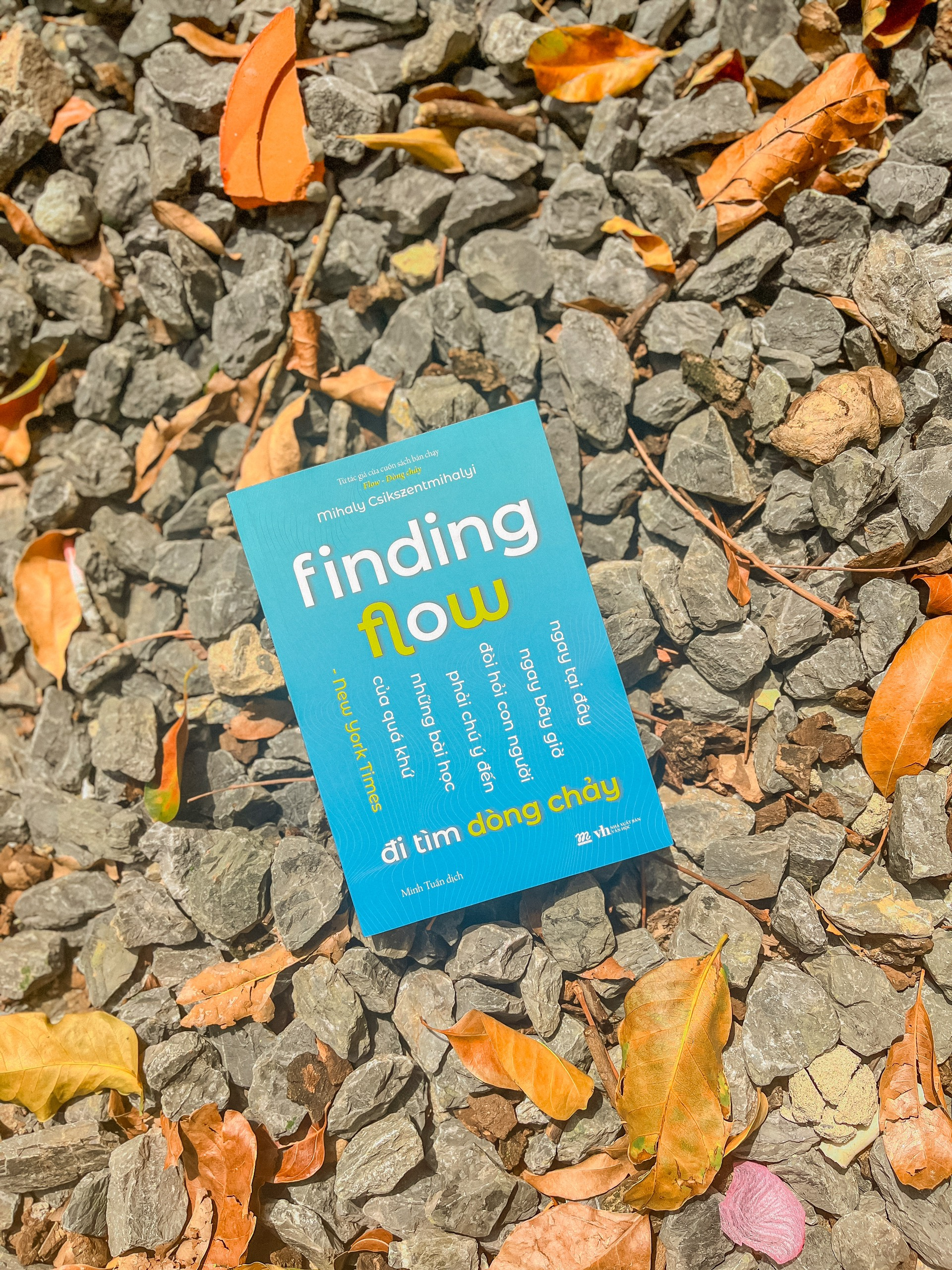 finding flow - đi tìm dòng chảy - Ảnh 4