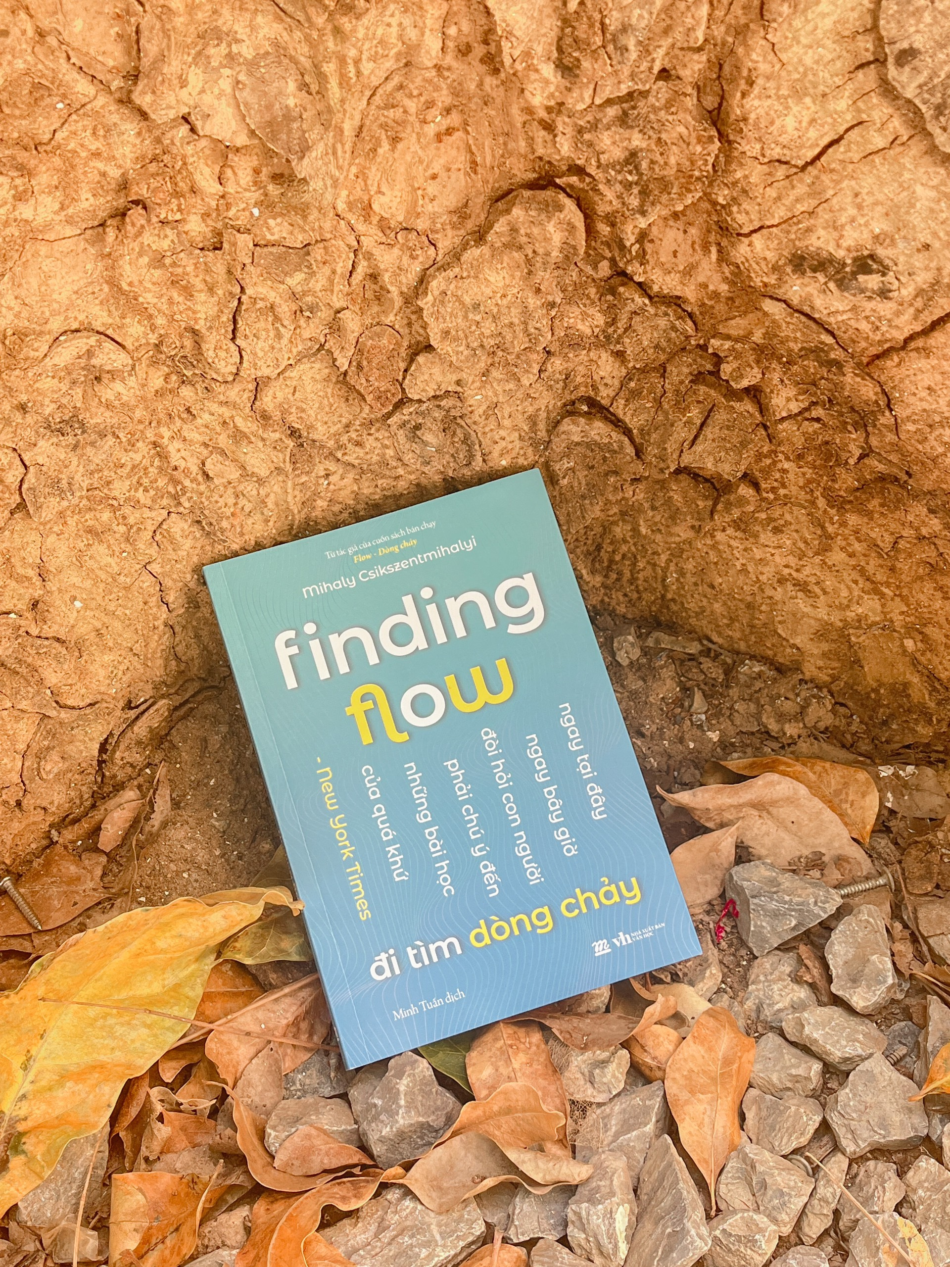 finding flow - đi tìm dòng chảy - Ảnh 5