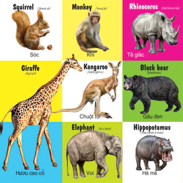 first 100 animals - 100 từ đầu tiên về các loại động vật - Ảnh 6