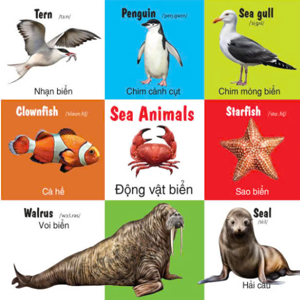 first 100 animals - 100 từ đầu tiên về các loại động vật - Ảnh 8