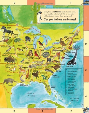 first animal picture atlas - Ảnh 10