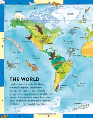 first animal picture atlas - Ảnh 5