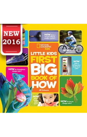 first big book of how (new release) - Ảnh 2