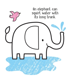 first colouring zoo animals - Ảnh 4