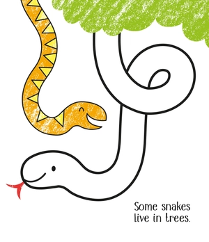 first colouring zoo animals - Ảnh 5