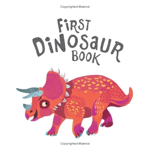 first dinosaur book - Ảnh 5