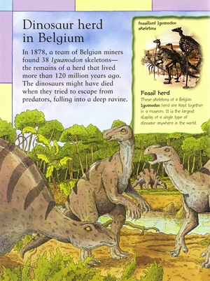 first dinosaur picture atlas - Ảnh 7