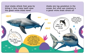 first facts sharks (turn-the-wheel books) - Ảnh 4