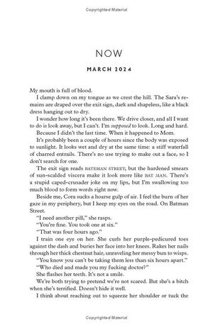 first light - Ảnh 6