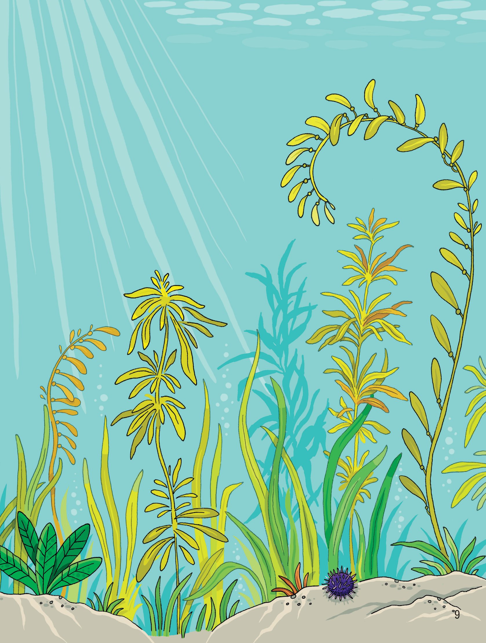 first sticker book - sách dán hình đầu đời cho bé - đại dương - Ảnh 9