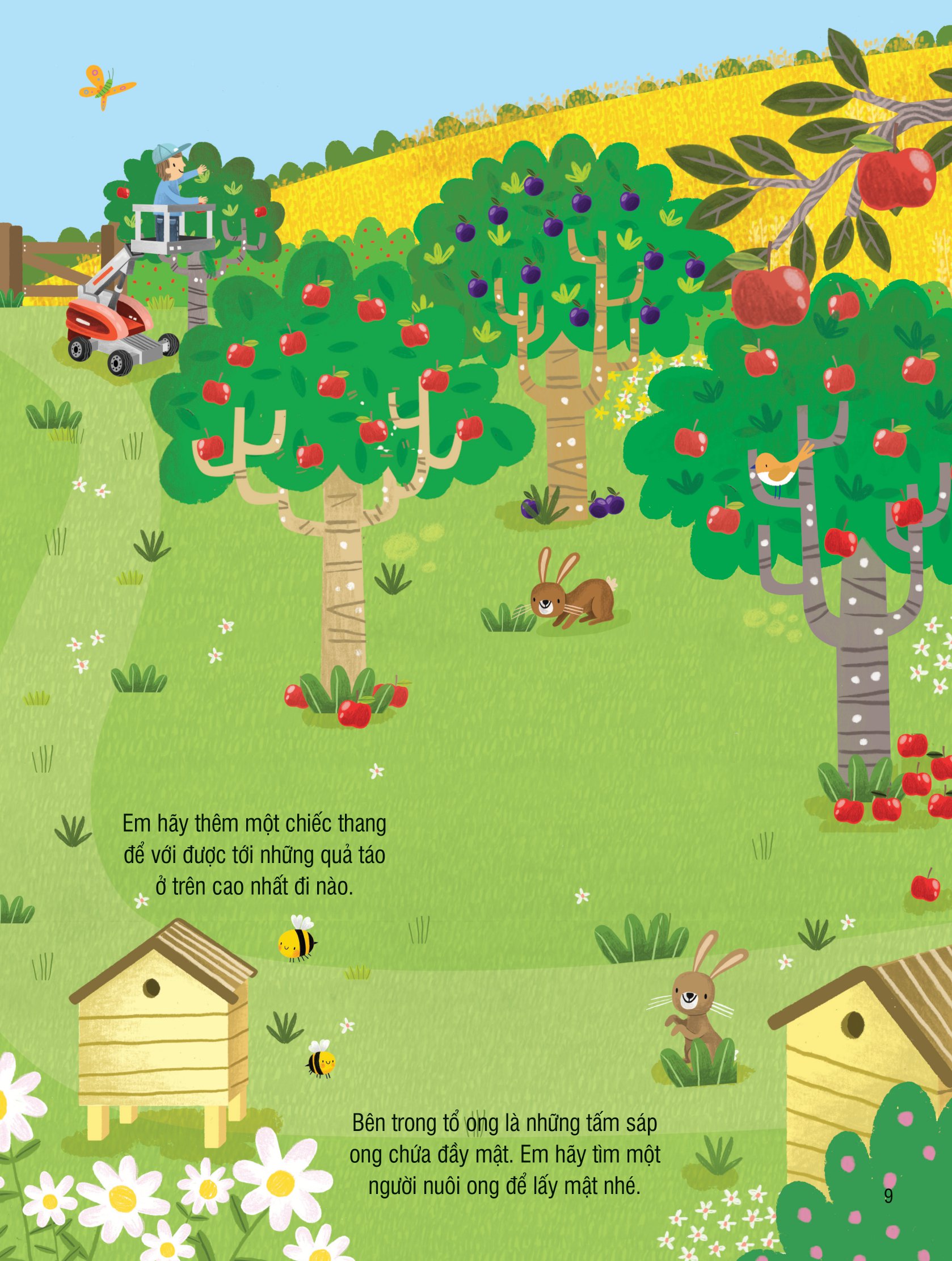 first sticker book - sách dán hình đầu đời cho bé - nông trại - Ảnh 9