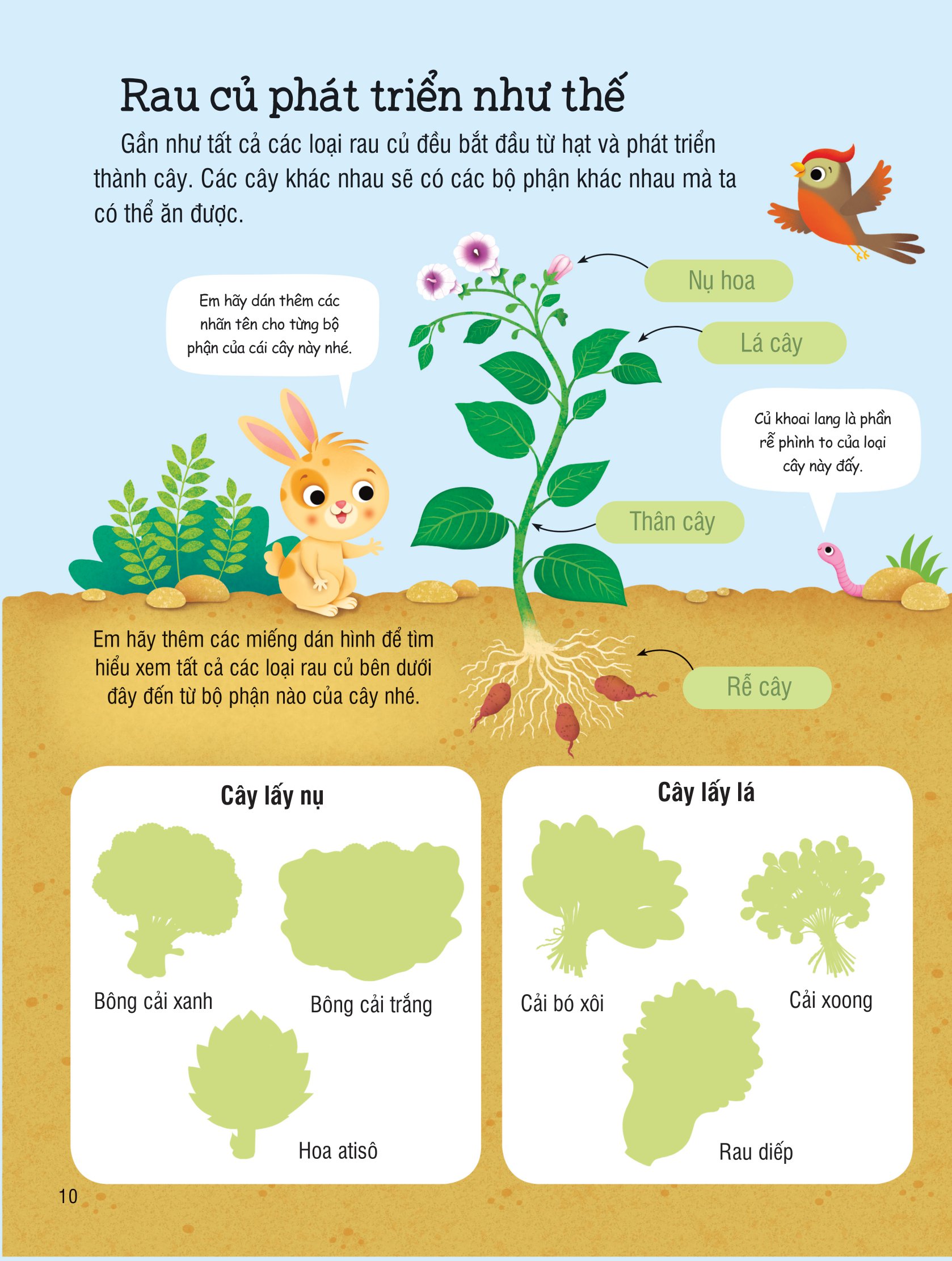 first sticker book - sách dán hình đầu đời cho bé - trái cây và rau củ - Ảnh 10