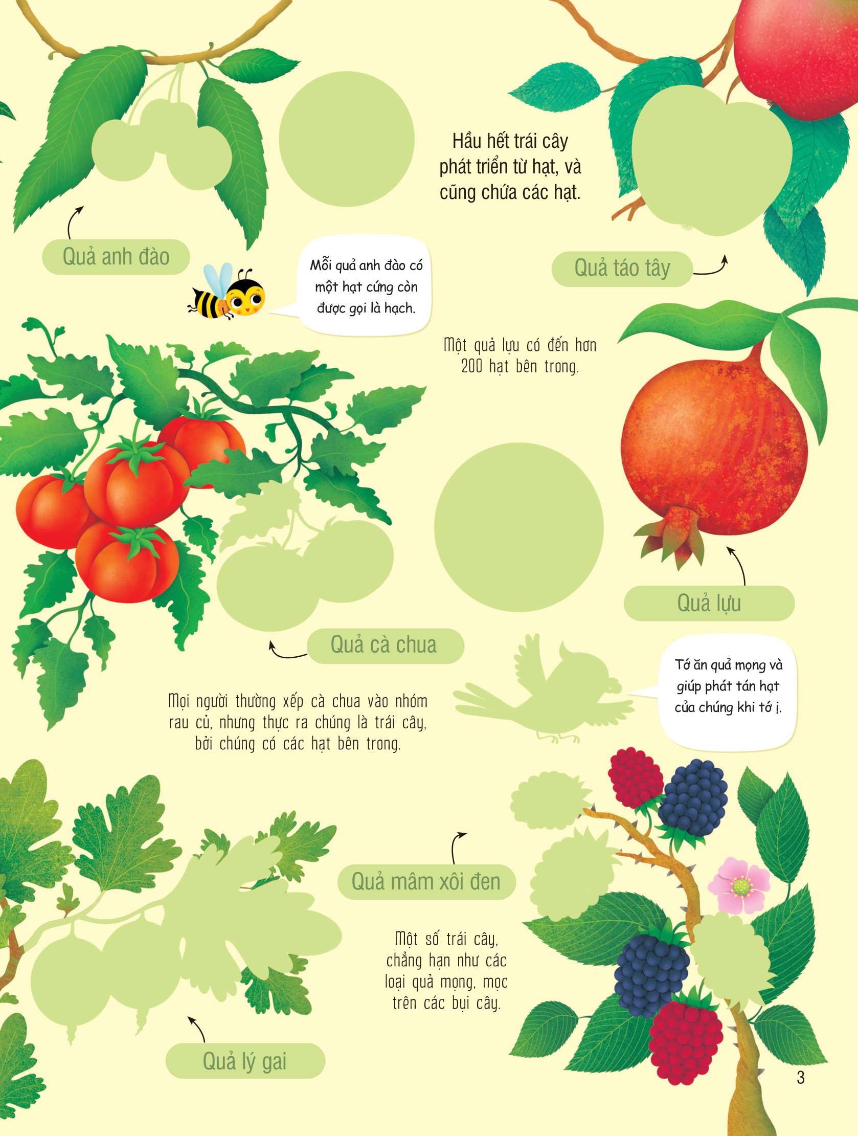 first sticker book - sách dán hình đầu đời cho bé - trái cây và rau củ - Ảnh 3