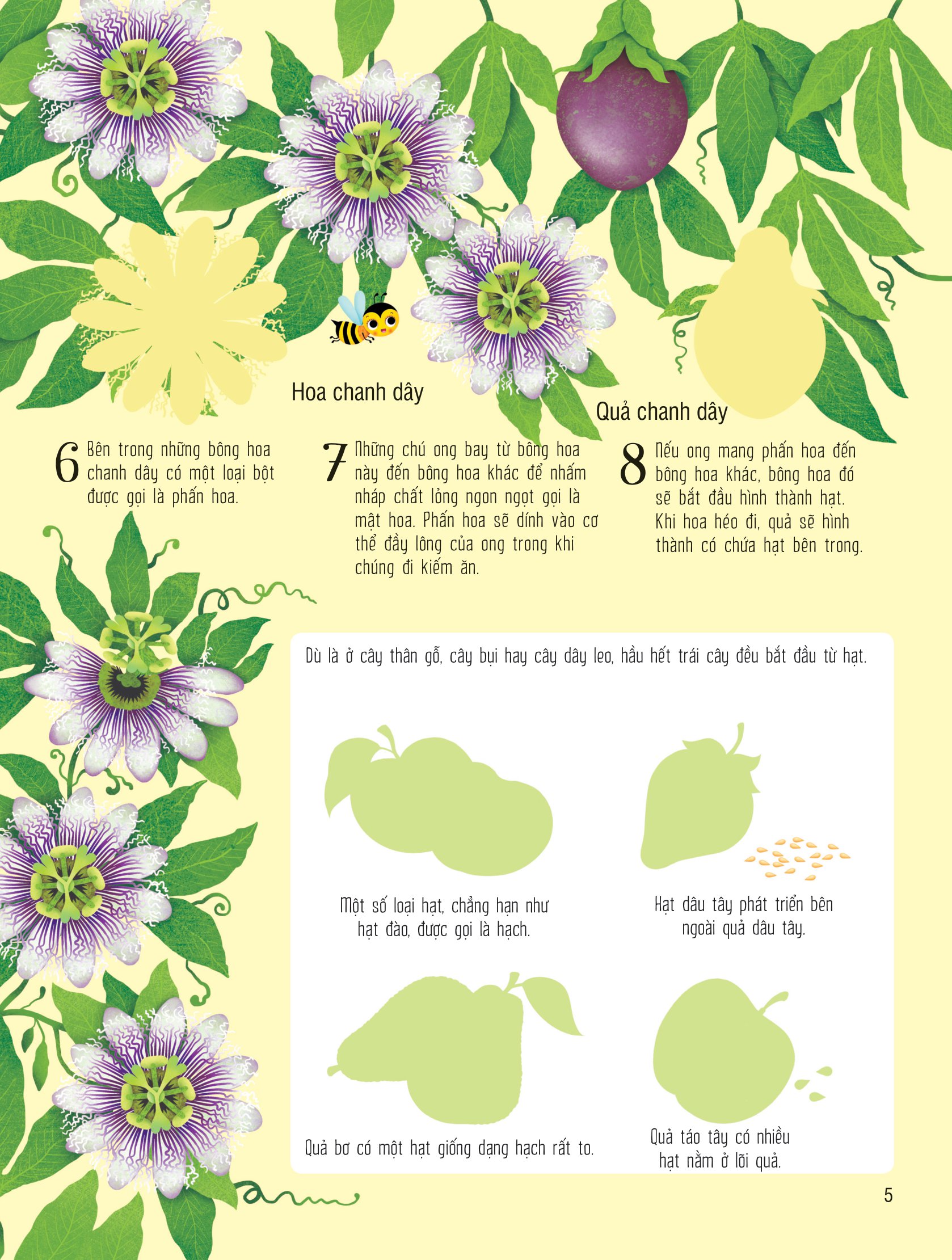 first sticker book - sách dán hình đầu đời cho bé - trái cây và rau củ - Ảnh 5