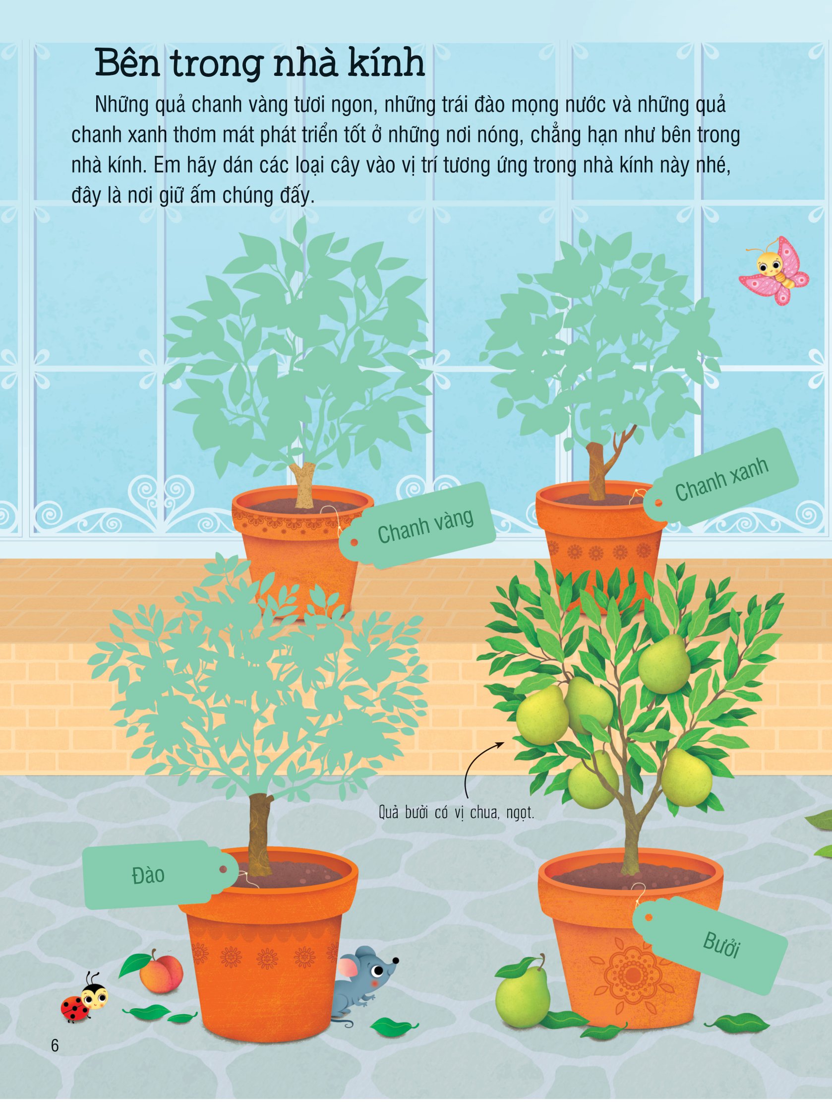 first sticker book - sách dán hình đầu đời cho bé - trái cây và rau củ - Ảnh 6