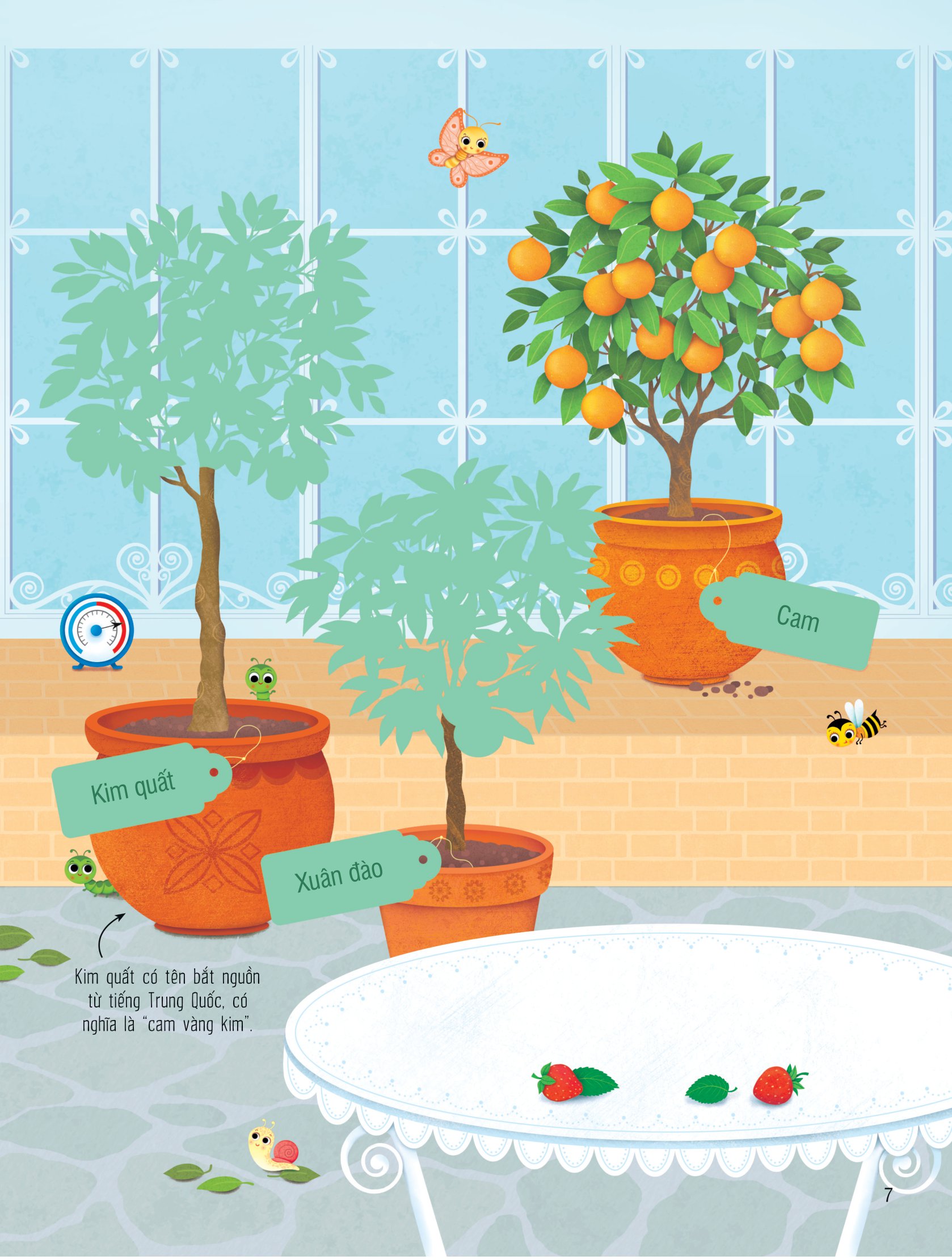 first sticker book - sách dán hình đầu đời cho bé - trái cây và rau củ - Ảnh 7